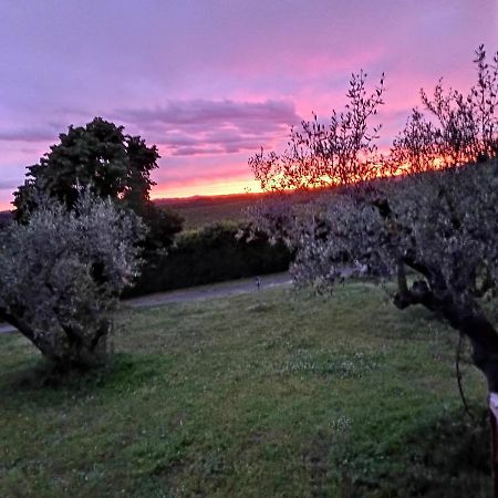 L'Orto Sul Poggio Acomodação com café da manhã Sutri Exterior foto