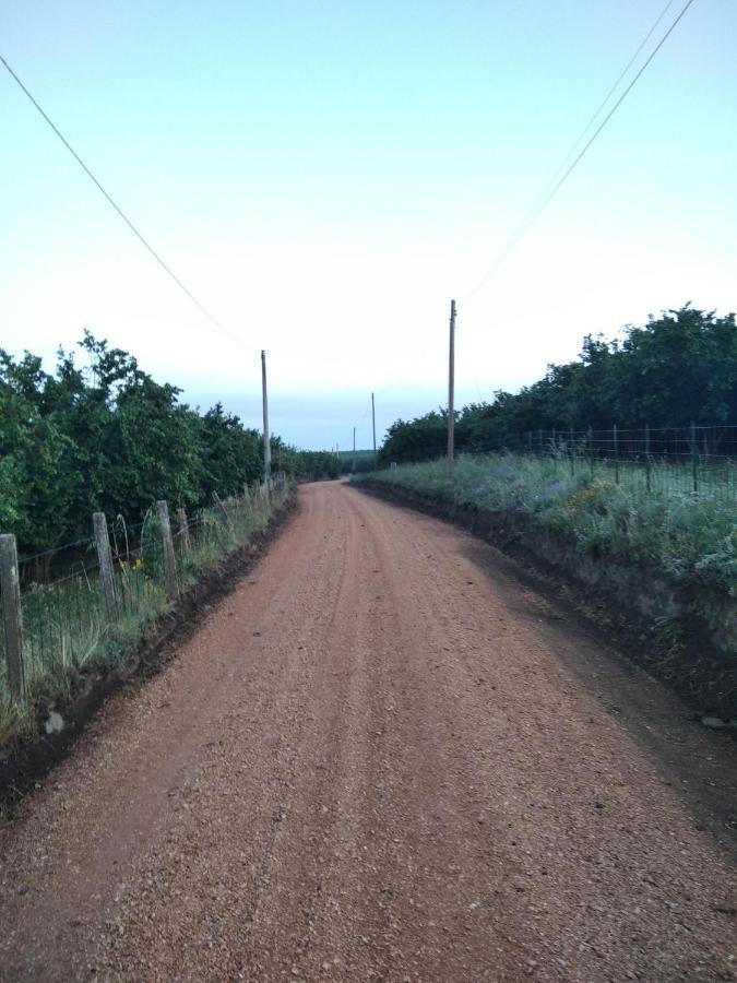 L'Orto Sul Poggio Acomodação com café da manhã Sutri Exterior foto