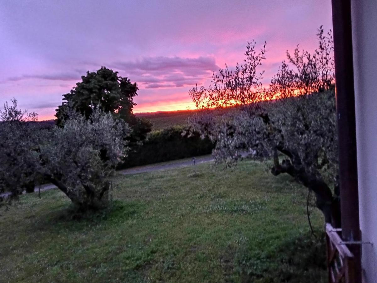 L'Orto Sul Poggio Acomodação com café da manhã Sutri Exterior foto