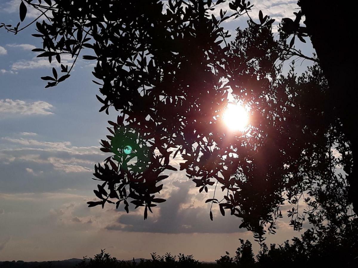 L'Orto Sul Poggio Acomodação com café da manhã Sutri Exterior foto